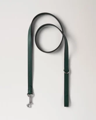 Handheld Dog Leash Mulberry Green Small Classic Grain