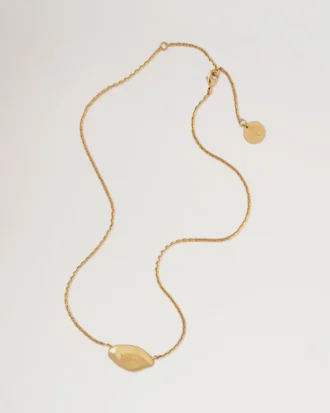 Lana Necklace Gold Plated Brass Women