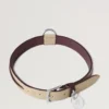 Large Leather Dog Collar Dune & Oxblood Small Classic Grain Large Leather Dog Collar Dune & Oxblood Small Classic Grain