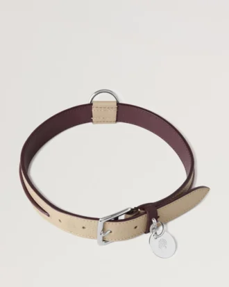 Large Leather Dog Collar Dune & Oxblood Small Classic Grain
