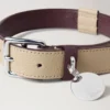 Large Leather Dog Collar Dune & Oxblood Small Classic Grain Large Leather Dog Collar Dune & Oxblood Small Classic Grain