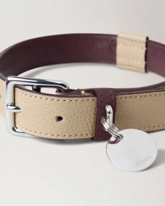 Large Leather Dog Collar Dune & Oxblood Small Classic Grain