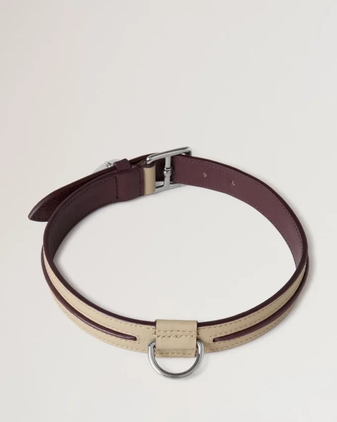 Large Leather Dog Collar Dune & Oxblood Small Classic Grain Large Leather Dog Collar Dune & Oxblood Small Classic Grain