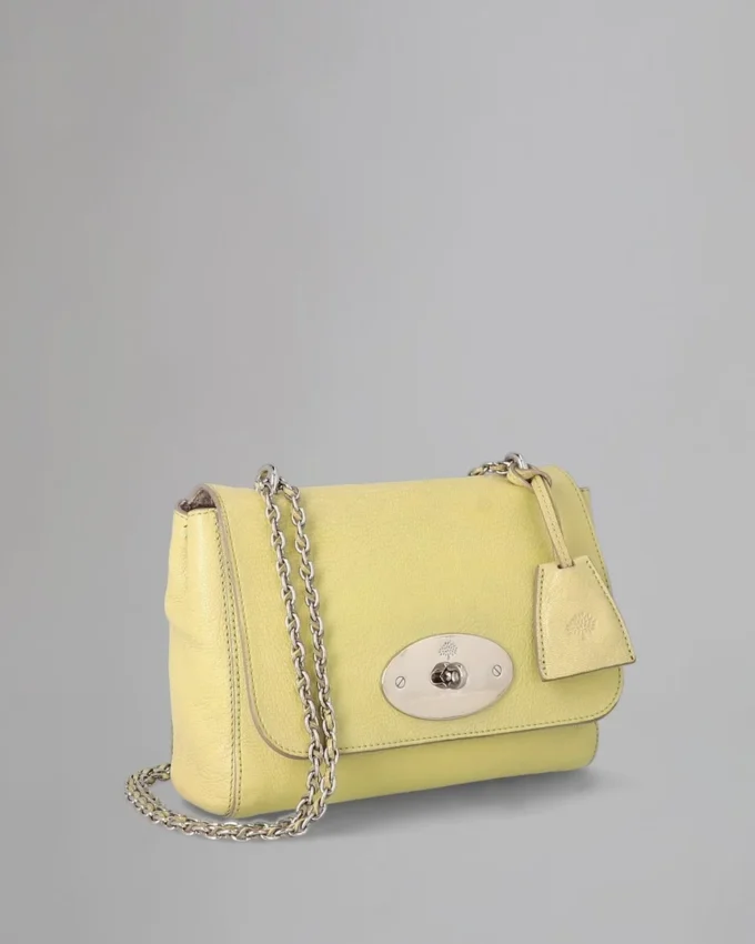 Lily Pre-Loved Pistachio Glossy Goat Leather Pre-Loved Bags Lily Pre-Loved Pistachio Glossy Goat Leather Pre-Loved Bags