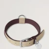 Medium Leather Dog Collar Dune & Oxblood Small Classic Grain Medium Leather Dog Collar Dune & Oxblood Small Classic Grain