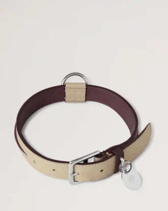 Medium Leather Dog Collar Dune & Oxblood Small Classic Grain