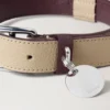 Medium Leather Dog Collar Dune & Oxblood Small Classic Grain Medium Leather Dog Collar Dune & Oxblood Small Classic Grain