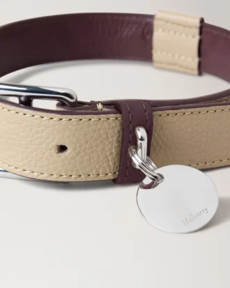 Medium Leather Dog Collar Dune & Oxblood Small Classic Grain
