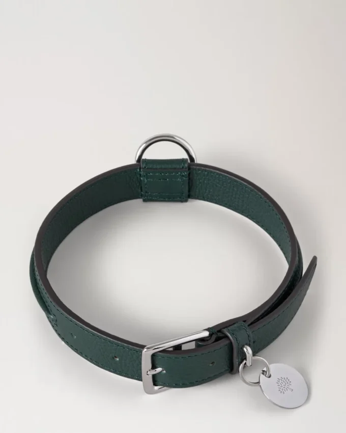 Medium Leather Dog Collar Mulberry Green Small Classic Grain