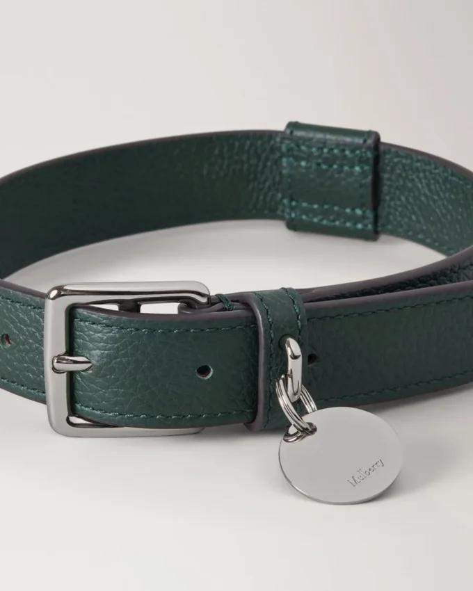 Medium Leather Dog Collar Mulberry Green Small Classic Grain
