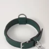 Small Leather Dog Collar Mulberry Green Small Classic Grain Small Leather Dog Collar Mulberry Green Small Classic Grain