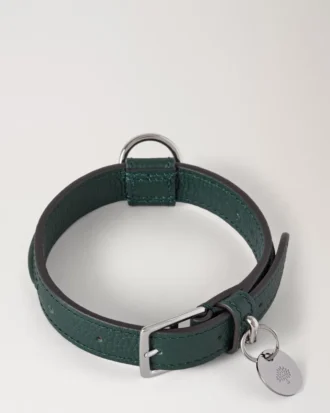 Small Leather Dog Collar Mulberry Green Small Classic Grain