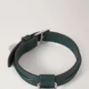 Small Leather Dog Collar Mulberry Green Small Classic Grain Small Leather Dog Collar Mulberry Green Small Classic Grain