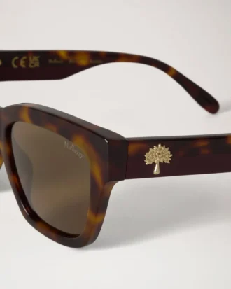 Vera Sunglasses Tortoiseshell & Black Cherry Bio Acetate