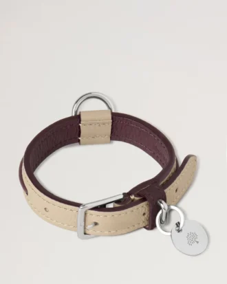 Xs Leather Dog Collar Dune & Oxblood Small Classic Grain