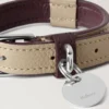 Xs Leather Dog Collar Dune & Oxblood Small Classic Grain Xs Leather Dog Collar Dune & Oxblood Small Classic Grain