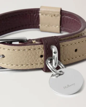 Xs Leather Dog Collar Dune & Oxblood Small Classic Grain