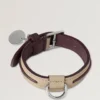 Xs Leather Dog Collar Dune & Oxblood Small Classic Grain Xs Leather Dog Collar Dune & Oxblood Small Classic Grain
